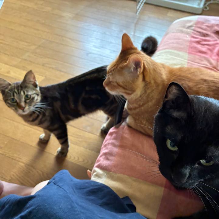 8969f871 e9a5 4f2a 809f b118b438985d 1751575721698