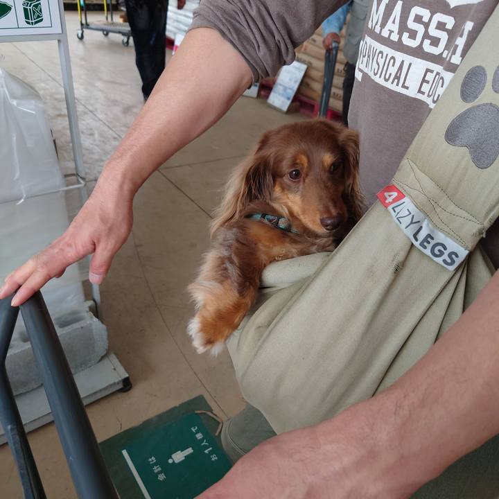 896a296c 2295 4434 b75f f0481fef3c9a 1621676973957