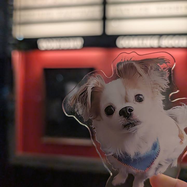 896a5858 31f9 4fe9 b73b fa4f60e17474 1732764898659