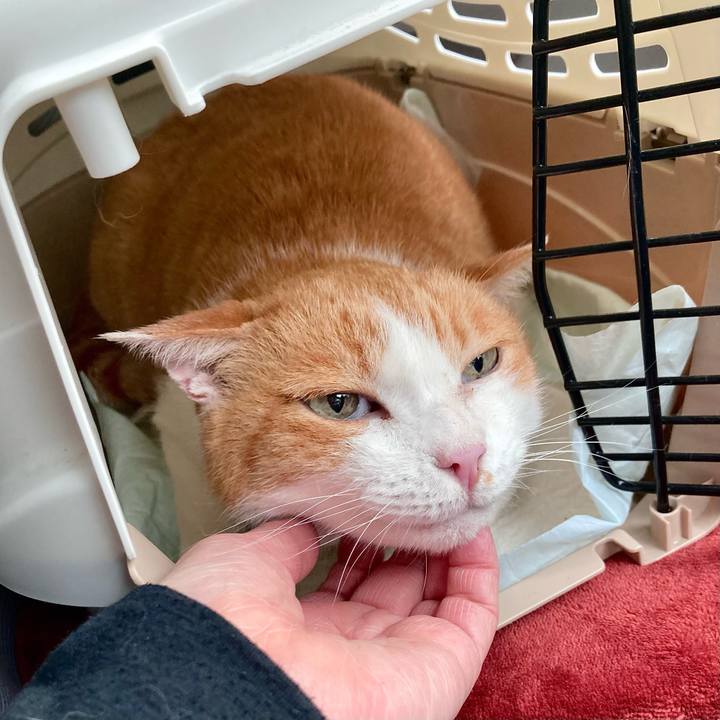 896a7653 958e 42d3 af6f ec624c916800 1663830869832