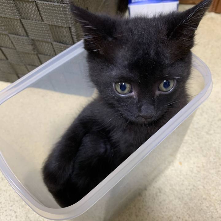 896aa70e 3d15 4b4b 8b15 534452c8c3e5 1594457645126