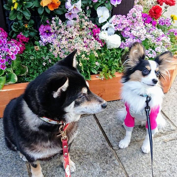 896abdd0 7a01 4a47 9eb2 a2f447361346 1614660110174