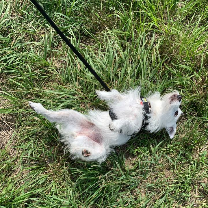 896afc00 5292 4bf6 b6f7 1b8c9b48adb4 1687306485683