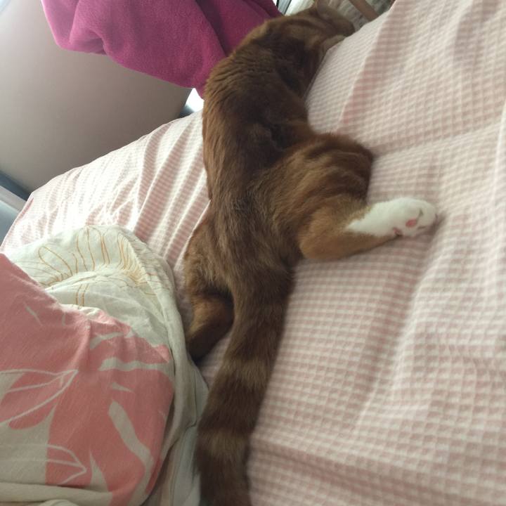 896b0935 1cfb 4c8b 9f85 b9254d453e11 1524960987189