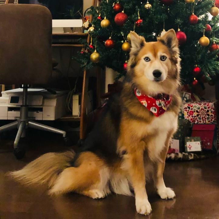 896b211f 159d 4ece b727 ea432425bf85 1674319613315