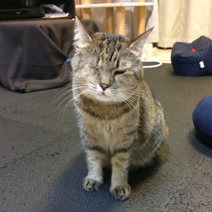 896b2f19 fb0a 4122 a95b 511e64acba30 1605012157076