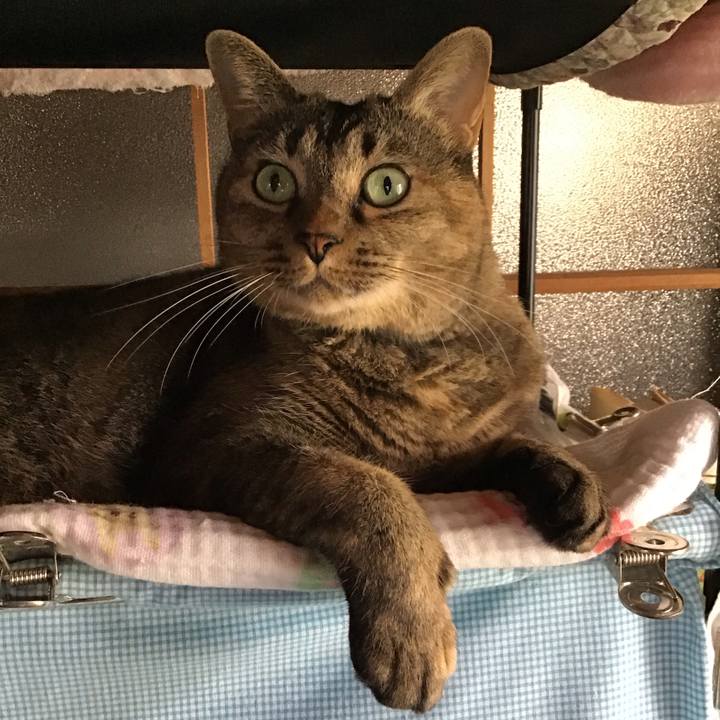 896b31c1 e784 486a 88c2 a02ac440a3ed 1757495149258