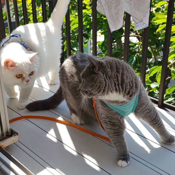 896b8a3f 176d 40d3 ac69 efc7d1fd0938 1654169546597