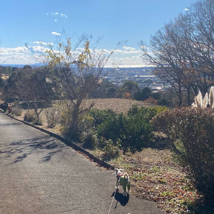 896b8e85 6e1e 4ef8 99a9 0bc3571ba1c1 1609392893824