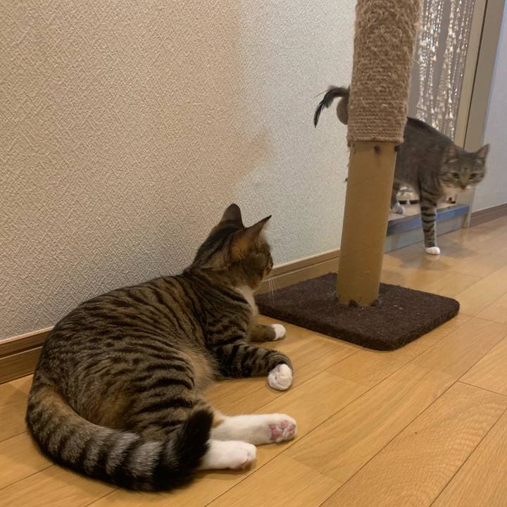 896ba595 9467 419e 910d b877d45ece82 1554683087038