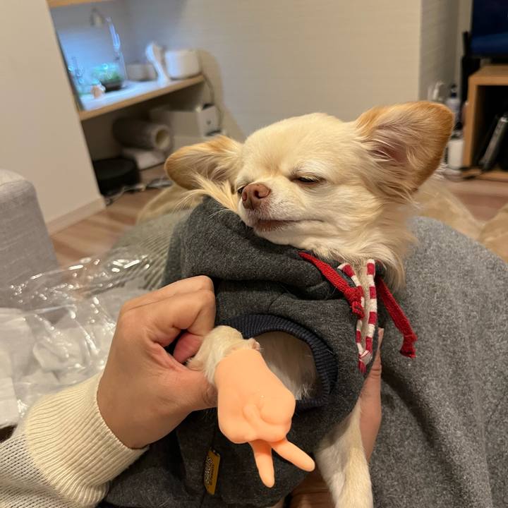 896ba6b3 24ea 4fbb a27a eb9cf1f76dff 1734997533205