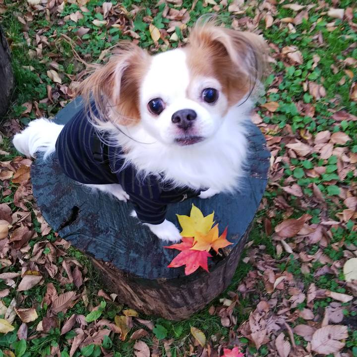 896bacb3 8222 4a07 821f 743633dc3ae2 1698408339083