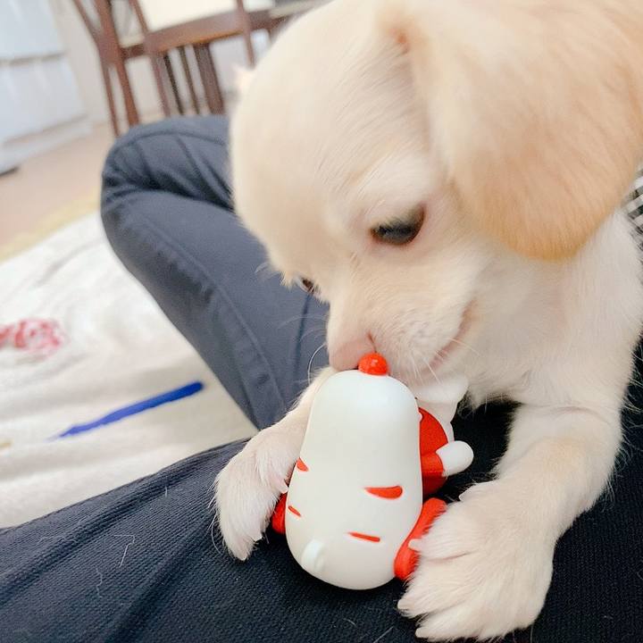 896c0d4c add0 45ca 84a3 f9782b4d59da 1592542726092