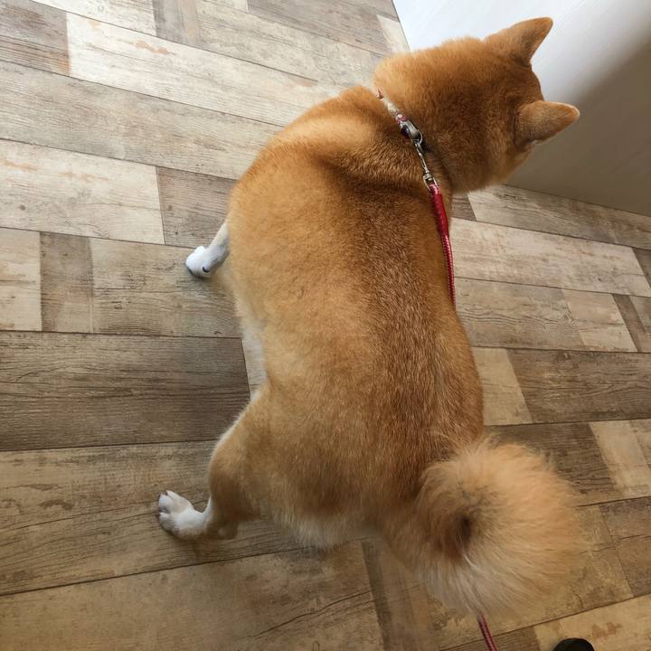 896c240c 4f9d 4415 83b1 a5ca65d1fafd 1566045846111