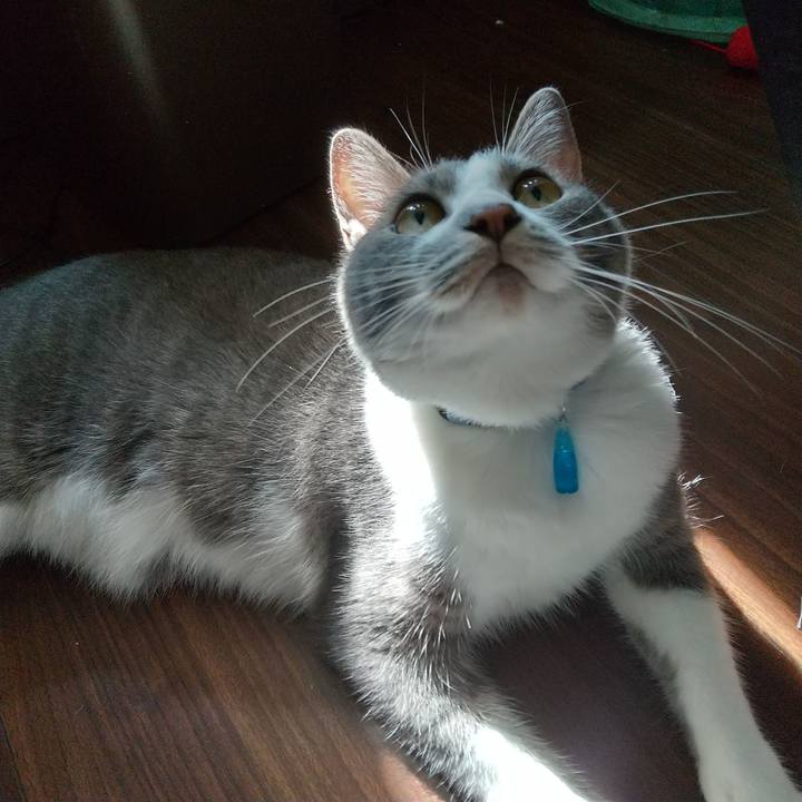 896c425f f9c6 4d10 aa86 0e1fc2a88e81 1598656589485