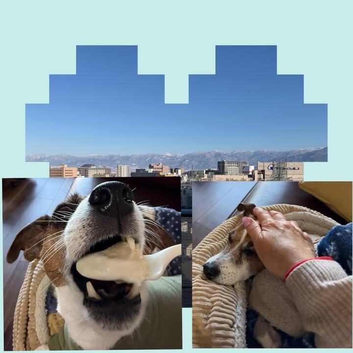 896c54b1 5669 4458 918b 5a8403d5577e 1766902012623