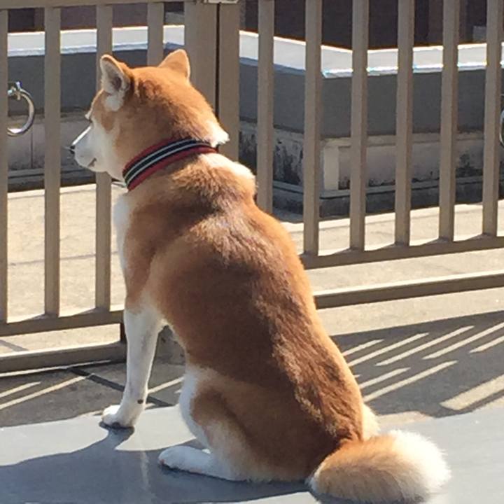 896c6dd7 6787 4915 b0ab e85cc1568529 1520988832328