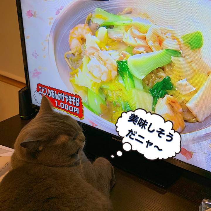 896c759e fd7c 4e7a b167 c8b089ebd08e 1578919023062