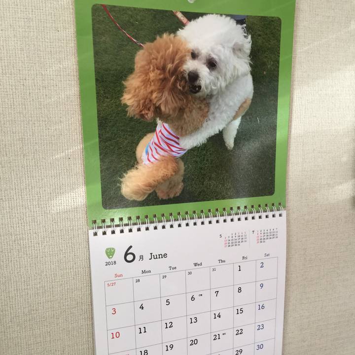 896c8778 e070 4202 a8cc 6fbe7117eace 1529802014405