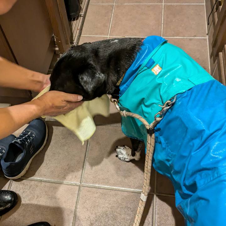 896cb61d 10e6 4ffd ac16 40a9e31640a5 1724929394608