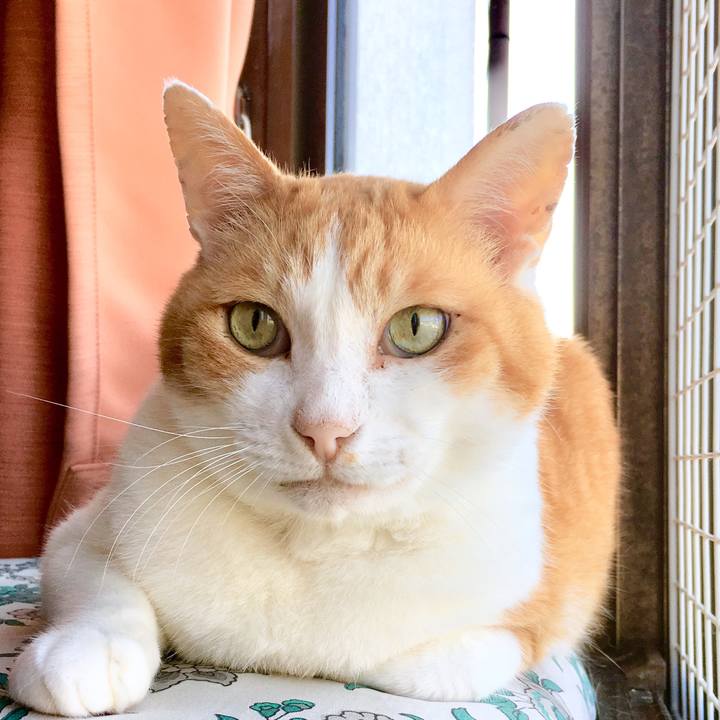 896cf8a4 424d 424b 80f4 93ccc5d79b37 1561517941596