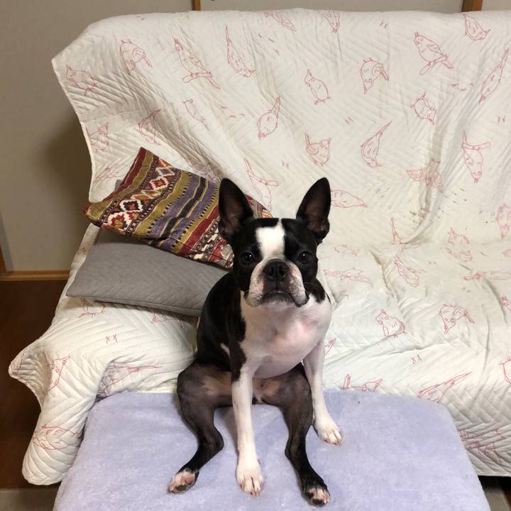 896d273f e204 4938 9e10 f7996840fc9c 1595597023264