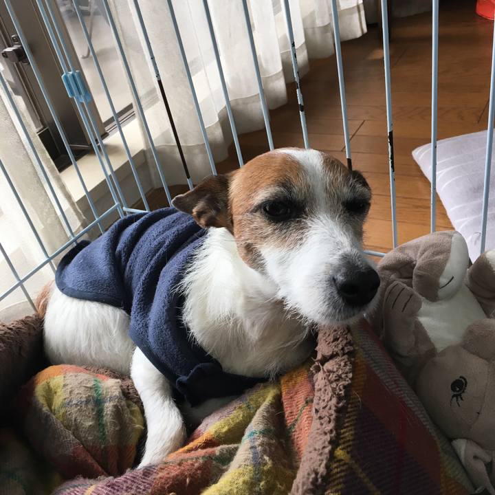 896d3877 53eb 40dc 8997 80477fe3e72c 1551883535230