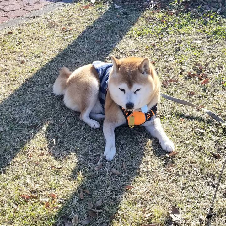 896d3d23 a771 4910 b5d9 2f97dd388f03 1638505898896