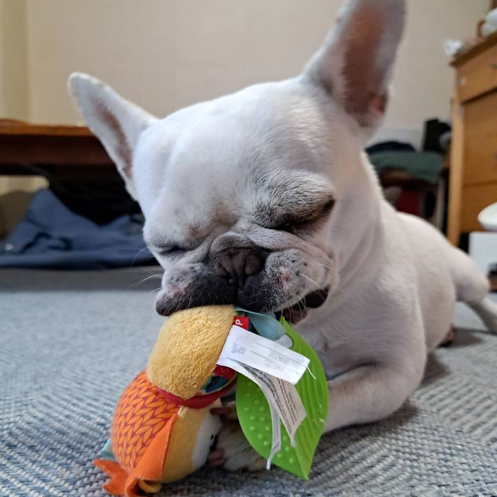 896d46b6 7dba 4a55 a083 f8dd384cf041 1720738463295