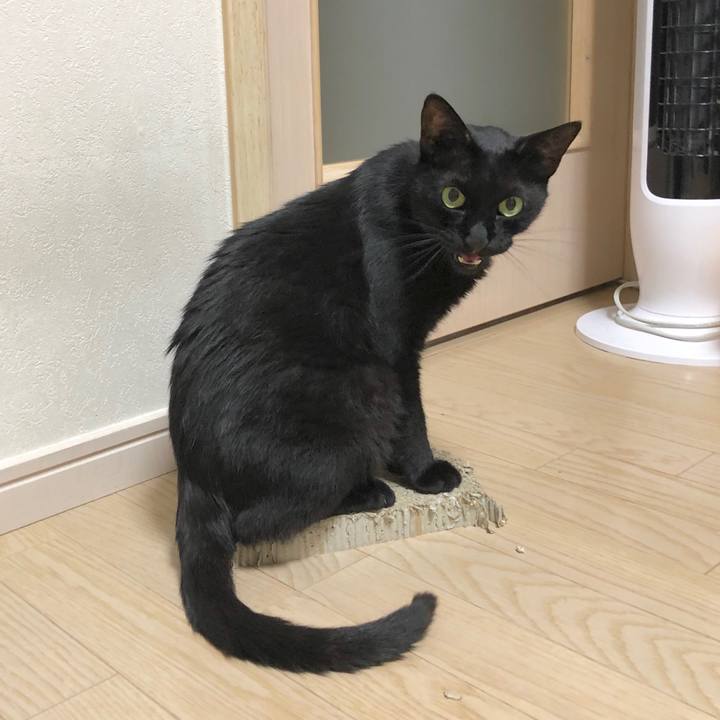 896d7e7c daf3 469d 8497 1937dd7e77c5 1595144789517