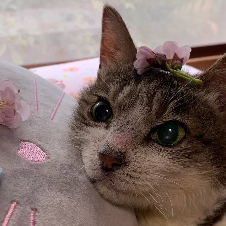 896d84d5 06ec 4900 92c7 950697a03eb8 1648764015468