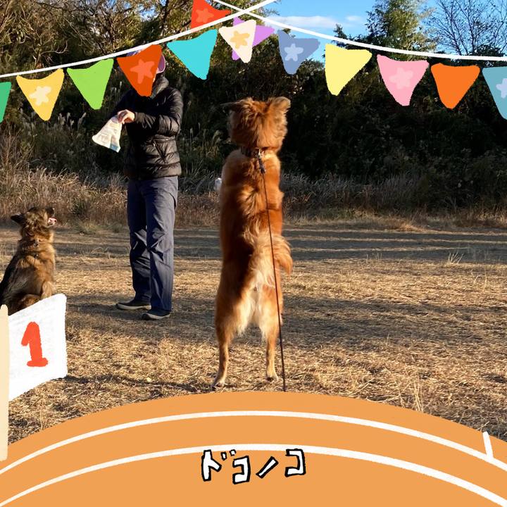 896da58c dde5 422c ade0 b638770a839a 1762350962035