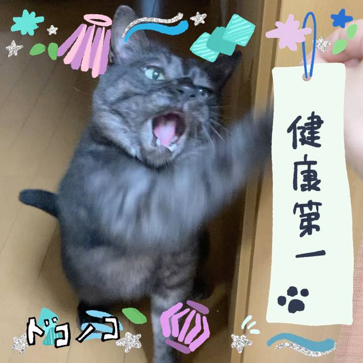 896db53a 667c 4d1e 87ed ff7d5d296816 1720851281088