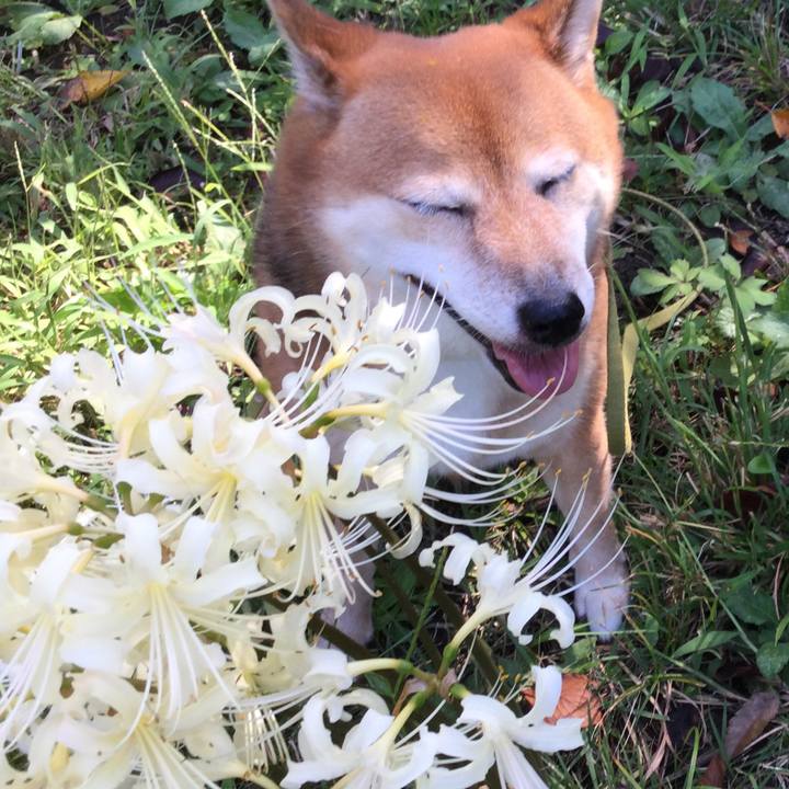 896e063d ed8d 4651 8b99 3010b7820546 1569561814257