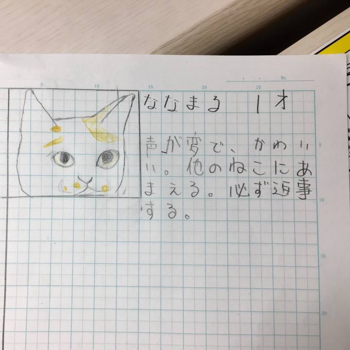 896e5186 2f9a 4e5d 9c7f 410b1db4b44d 1517150864773