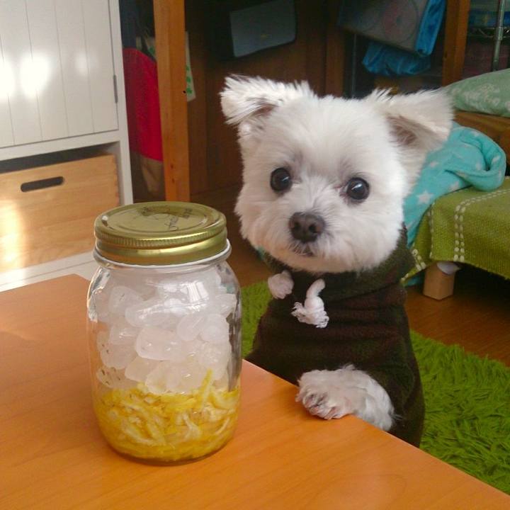 896e6164 2a89 4308 b68a 538d656739be 1520643086754