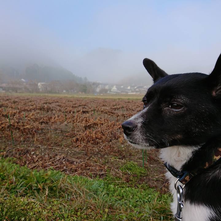 896eae0f e750 43bb a51e ff6477ae9cd2 1511827845299