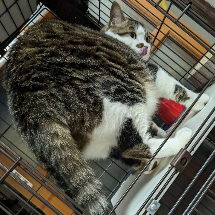 896eb357 f210 41e4 9878 ca3113742579 1714650575091