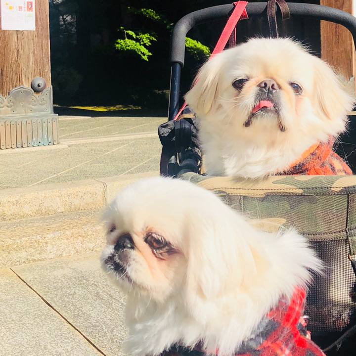 896edeb6 02e1 4ba2 aed8 b2444d8c4b8a 1574040972013