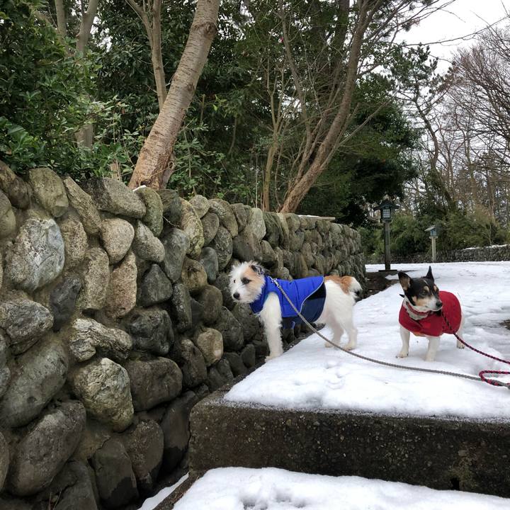 896ef774 f19e 4862 b5b1 9f131b421942 1548630159526