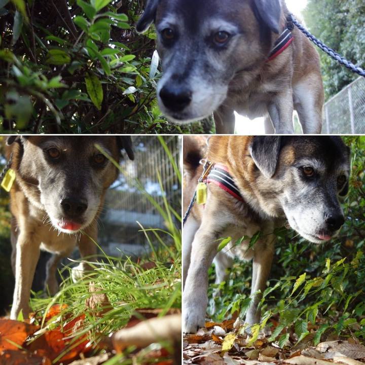 896f0097 a6e6 40f1 9741 f78a5172de6e 1543366290860