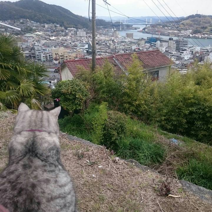 896f01d8 dedb 4e2f 98e2 f0826f97c96f 1554642190212