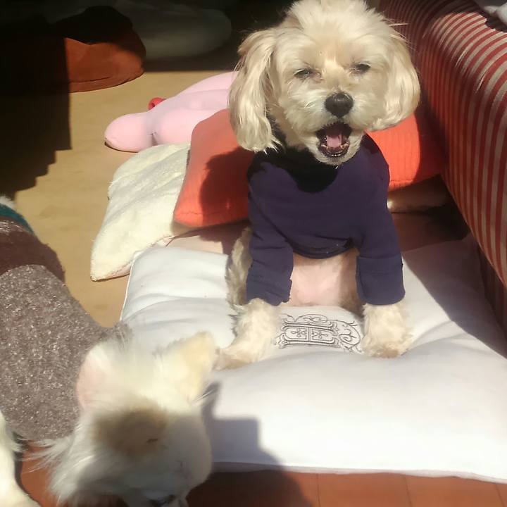 896f1291 ce16 4c19 b4b4 c7c9d7953760 1513394326704