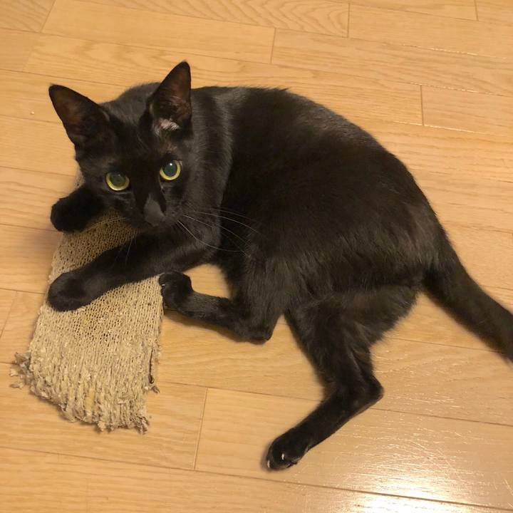 896f25dc 806f 4b6c a9ab 79db8bab8e5d 1530537876269