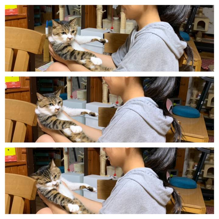 896f26ff 02ca 469c b423 31375e480921 1628167899110