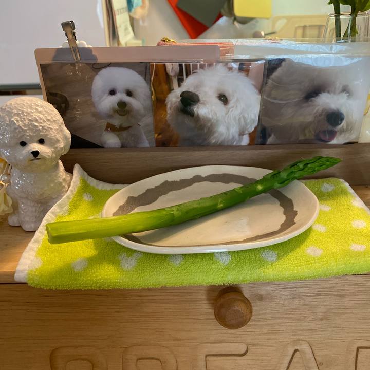 896f2991 a04f 45cf a979 19c019762bc2 1754123510856