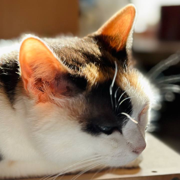 896f3ec0 66fd 4993 a4db 8e88c3181c4d 1692406012494