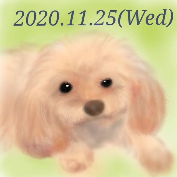 896f681e 053a 4b83 89c0 2c9c86469f9d 1606303796824