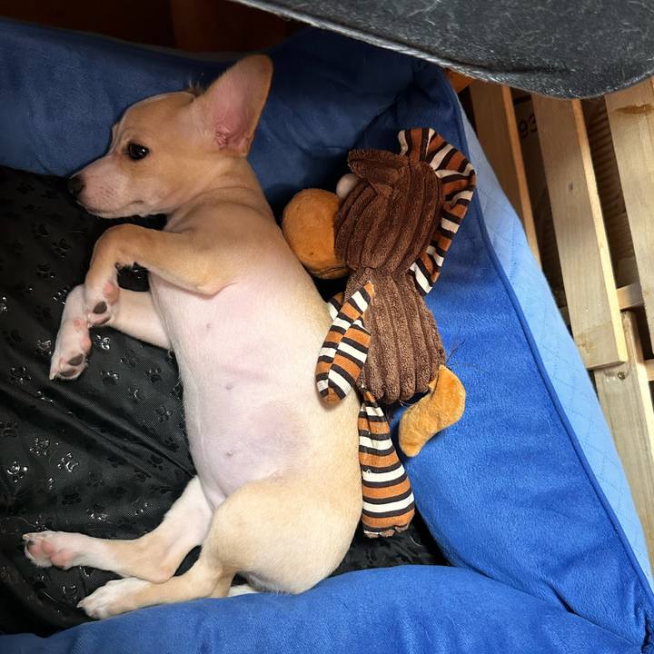 896f7427 4d73 4d1f a236 13877af9b0f8 1664847314613