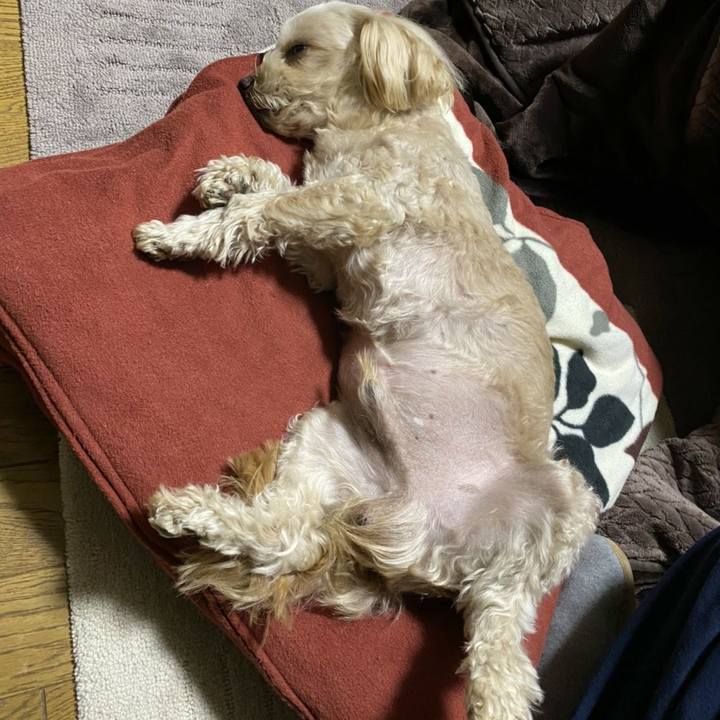 896f8609 fedb 41fa a8a3 a31394abfd47 1608992562945